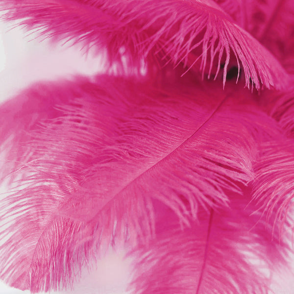12 Pack | 13"-15" Natural Plume Real Ostrich Feathers Vase Centerpiece - Fushia