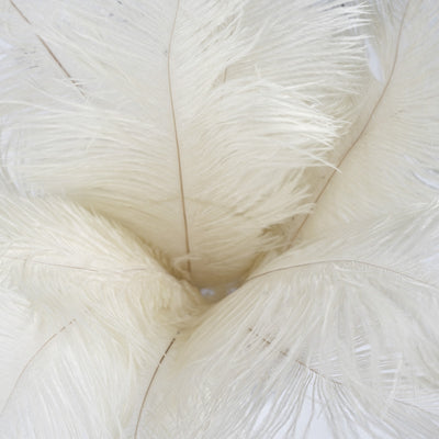 Efavormart 12PCS 13-15 Fabulous Natural Ostrich Feathers Plume