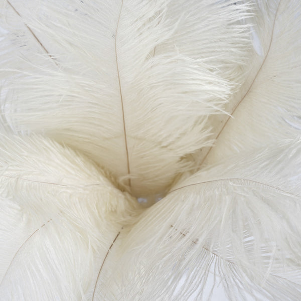 12 Pack | 13"-15" Natural Plume Real Ostrich Feathers Vase Centerpiece - Cream / Ivory
