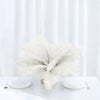 12 Pack | 13"-15" Natural Plume Real Ostrich Feathers Vase Centerpiece - Cream / Ivory