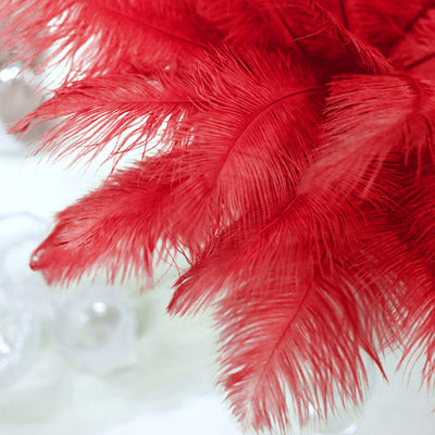 15 Red Feather Plume
