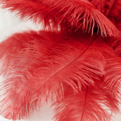 12 Pack | 13-15 Natural Plume Real Ostrich Feathers Vase Centerpiece - Red