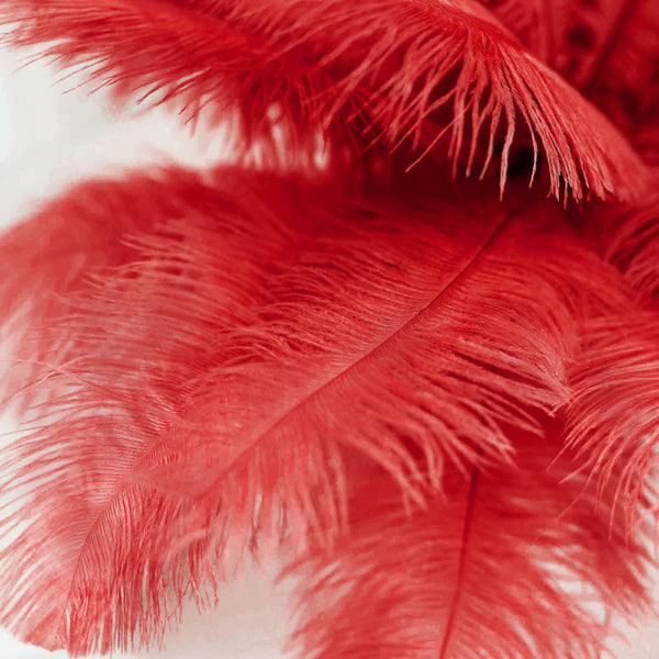 12 Pack | 13"-15" Natural Plume Real Ostrich Feathers Vase Centerpiece - Red