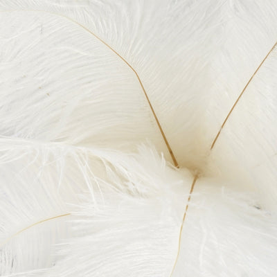 12 Pack | 13"-15" Natural Plume Real Ostrich Feathers Vase Centerpiece - White