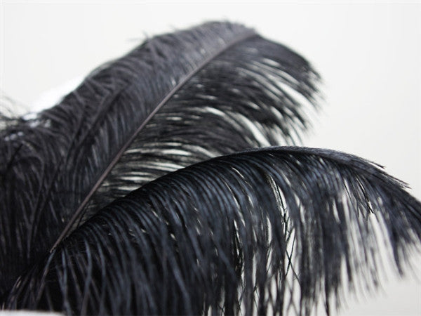 Set of 12 | 24"-26" Natural Plume Ostrich Feathers Centerpiece - Black