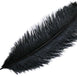 Set of 12 | 24"-26" Natural Plume Ostrich Feathers Centerpiece - Black