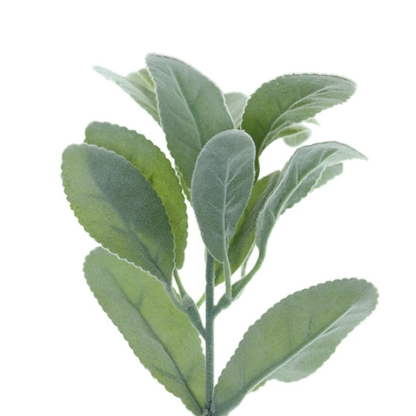 Pack of 4 | 12inch Frosted Green Artificial Flocked Lambs Ear Leaf Spray