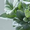 Pack of 4 | 12inch Frosted Green Artificial Flocked Lambs Ear Leaf Spray