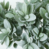 Pack of 2 | 24inches Frosted Green Artificial Flocked Lambs Ear Leaf Spray