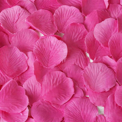 500 Rose Petal - Fushia