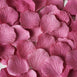 500 Rose Petal - Rose Quartz