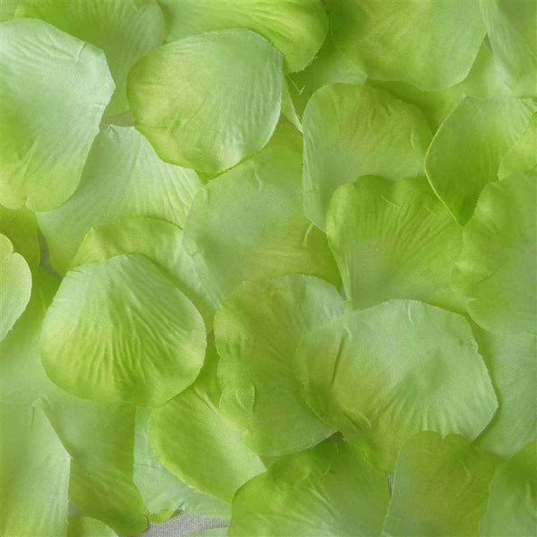 500 Rose Petal - Mint