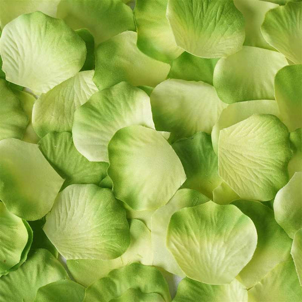 500 Rose Petal - Sage