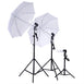 10Ft Background Support System, 600W 6500K White Umbrella Lighting Photo Video Studio Kit With Chromakey Background Muslins (Green Black White) - Free Carry Case