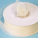 7/8" Organza Ribbon-Ivory