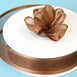7/8" Satin Edge Organza-Chocolate