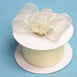 1.5" x 10 Yards Organza Ribbon With Wired Edge - Ivory