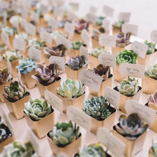 Set of 3 | 7'' Assorted Stonecrop Artificial Plants with Pots