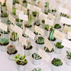 Set of 3 | 5'' Assorted Mini Echeveria Artificial Plants with Pots