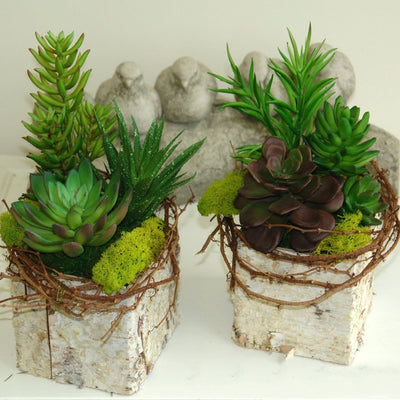 Set of 3 | Multi Colored Fake Succulents | 7" Spiky Crassula Decorative Artificial Plants